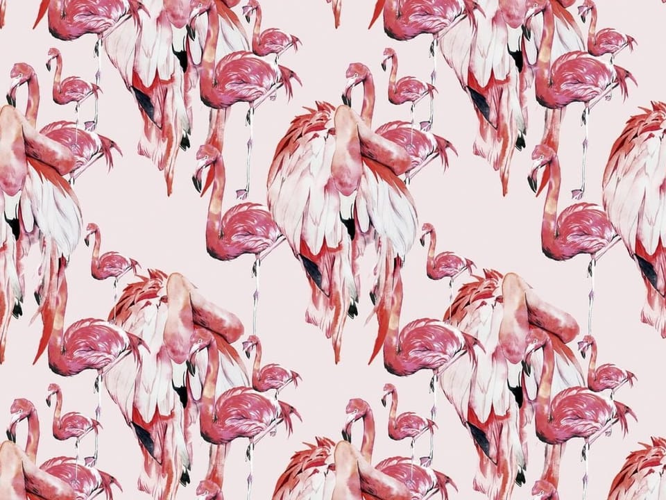 Fototapeta Różowe flamingi na jasnym tle na wymiar
