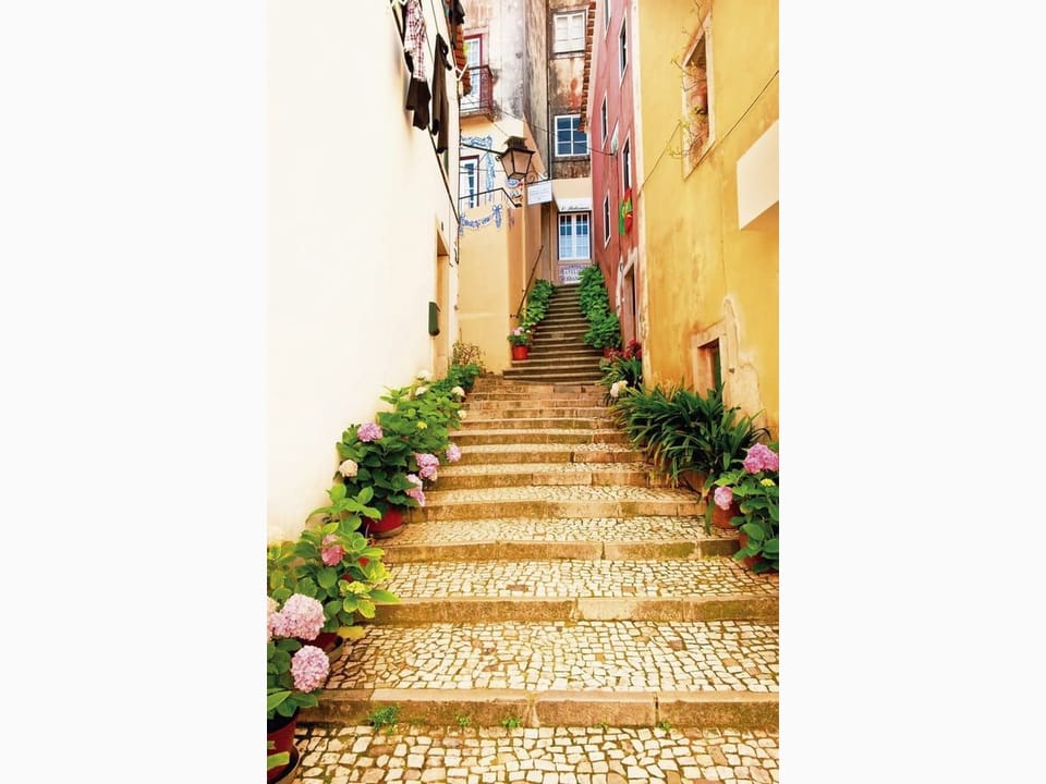 Fototapeta Kamienne schody z roślinami