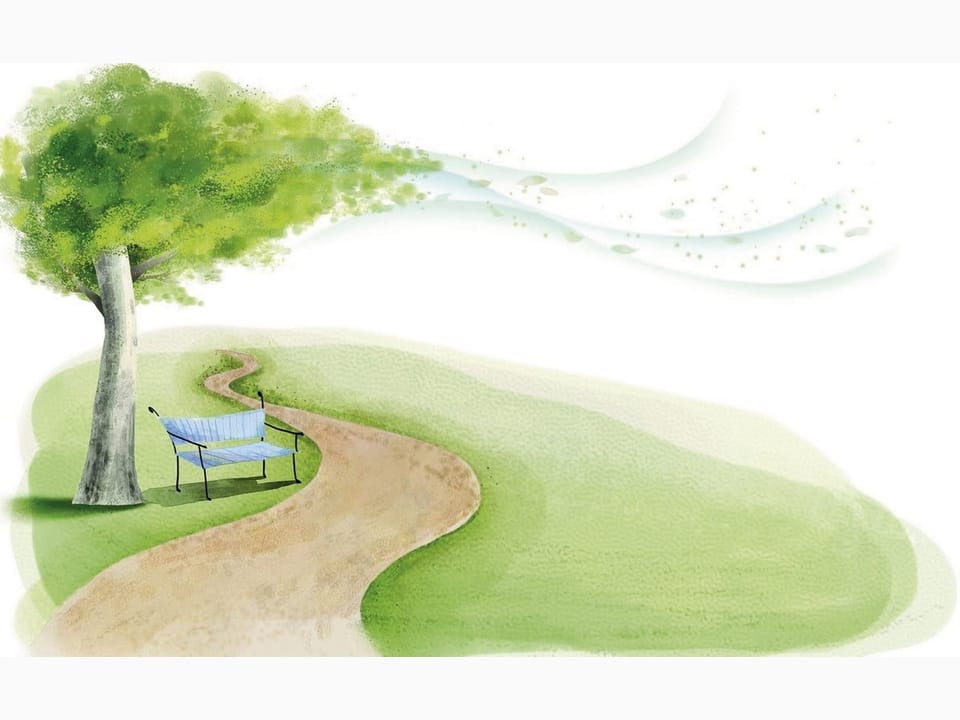 Fototapeta Drzewo z ławką w parku