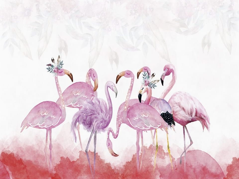 Fototapeta Flamingi z kwiatami na białym tle na wymiar
