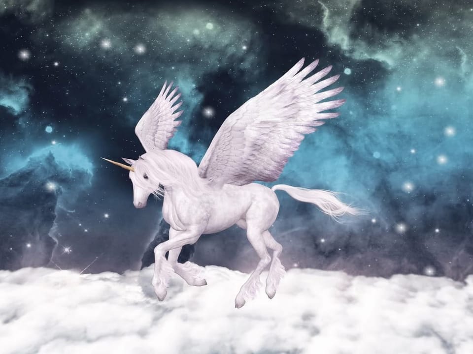 Fototapeta Latający jednorożec z gwiazdami