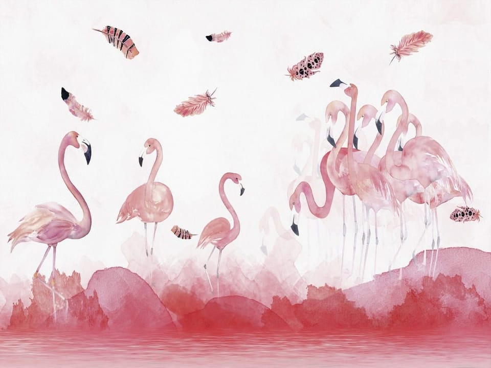 Fototapeta Różowe Flamingi na Białym Tle na wymiar