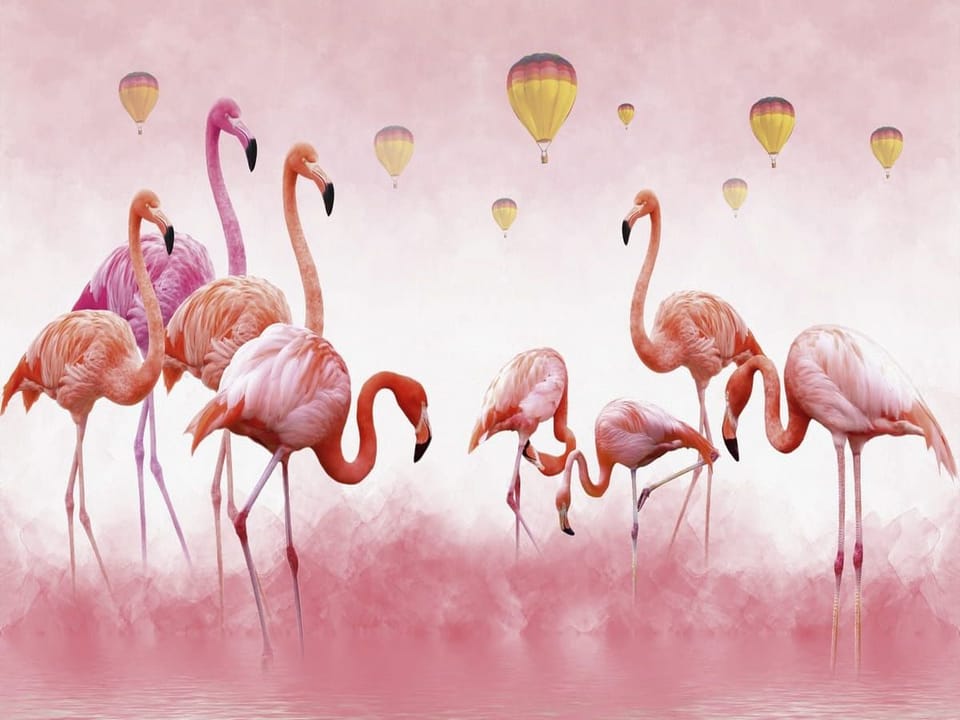 Fototapeta Flamingi na tle różowego nieba na wymiar