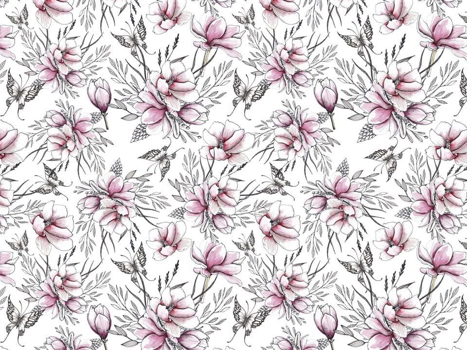 Fototapeta Kwiaty magnolii i liście na wymiar