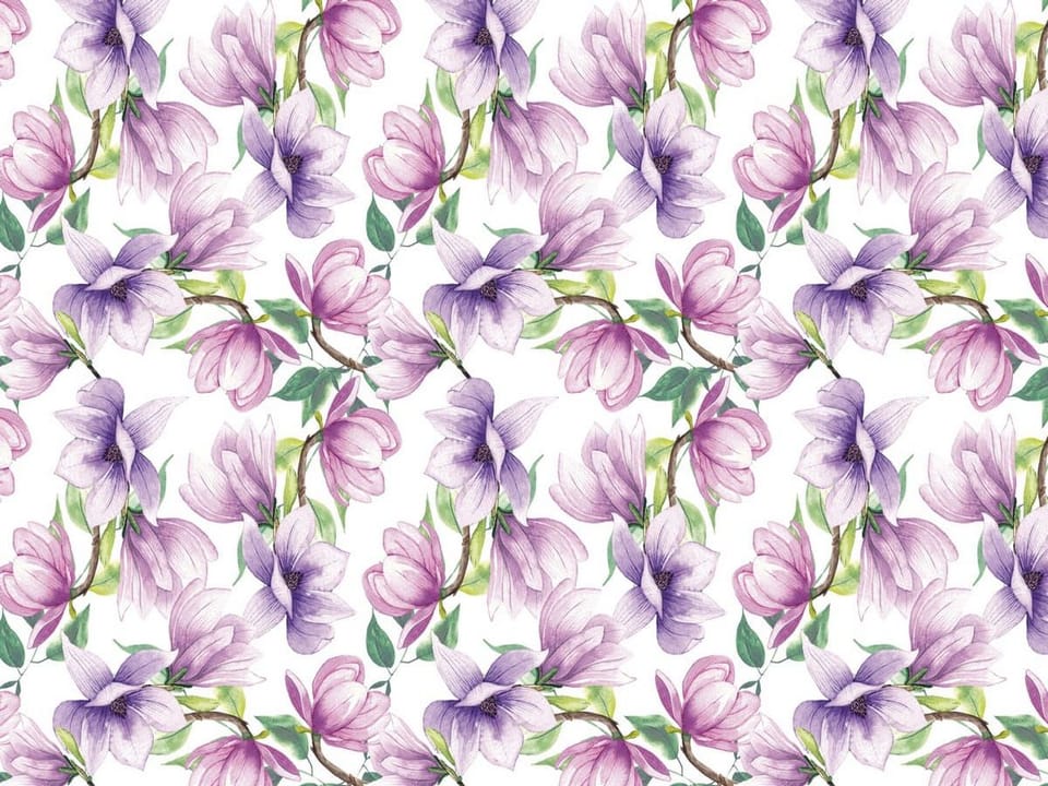 Fototapeta Magnolie na białym tle na wymiar