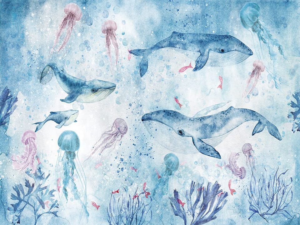Fototapeta Wieloryby i meduzy w oceanie na wymiar