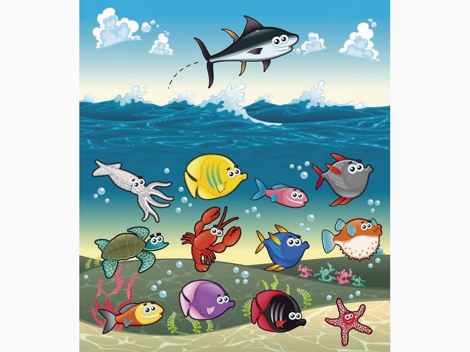 Fototapeta Kolorowe ryby i zwierzęta morskie