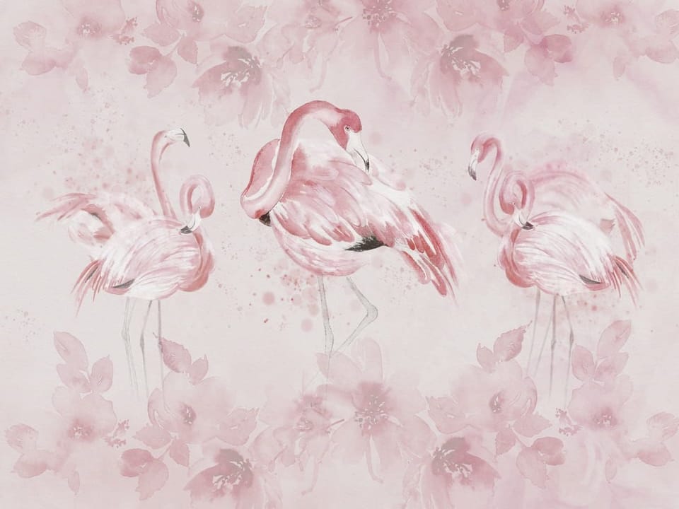 Fototapeta Różowe Flamingi i Kwiaty na wymiar
