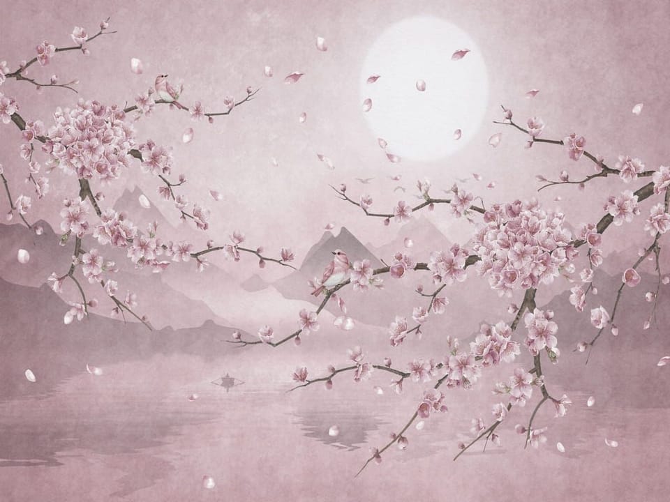 Fototapeta Kwitnąca Sakura z Księżycem na wymiar