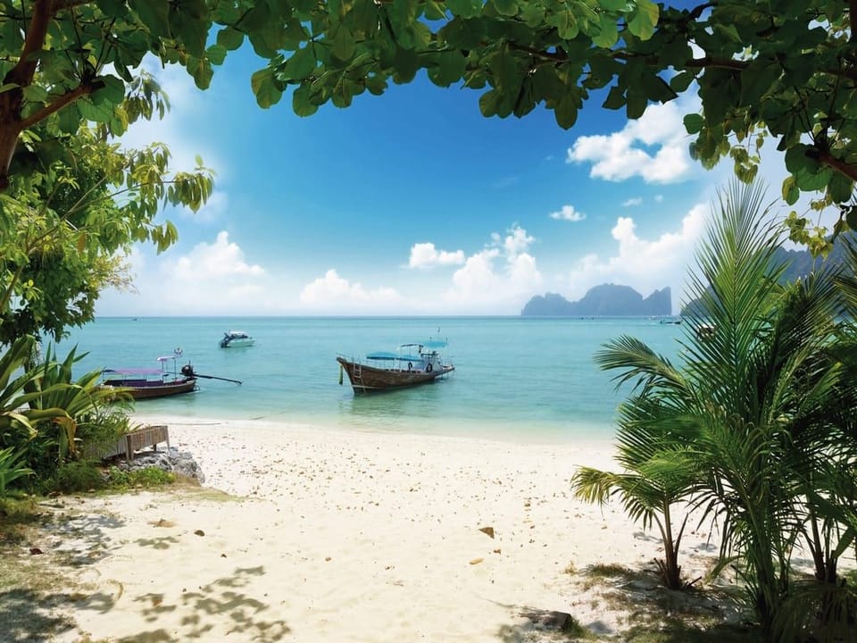 Fototapeta Plaża z łodziami i palmami