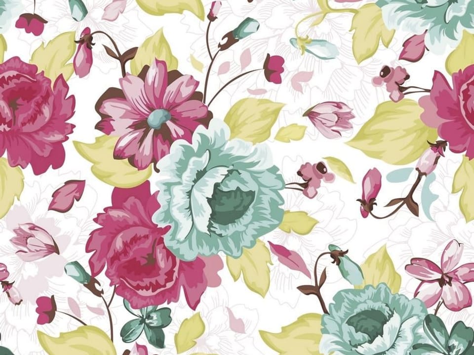 Fototapeta Kolorowe Piwonie na Białym Tle