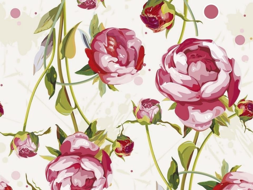 Fototapeta Różowe piwonie na białym tle