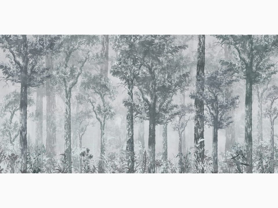 Fototapeta Gęsty las z wysokimi drzewami na wymiar