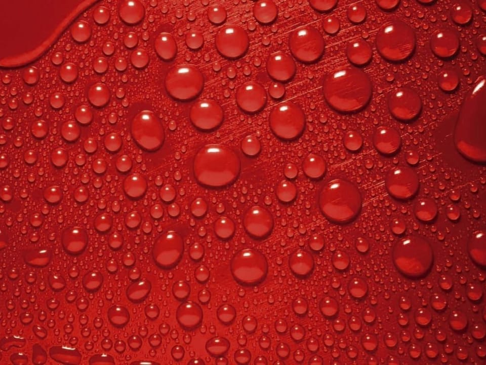 Fototapeta Krople wody na czerwonym tle