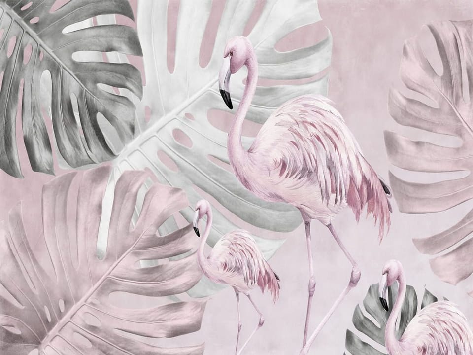 Fototapeta Flamingi wśród liści monstery na wymiar