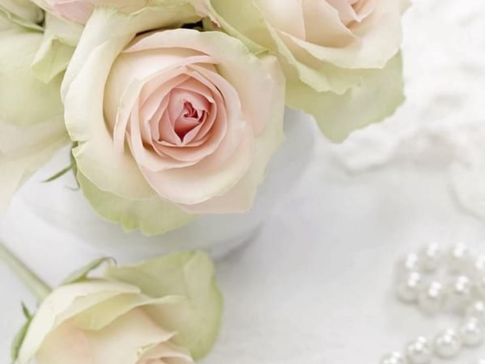 Fototapeta Bukiet różowych róż w wazonie