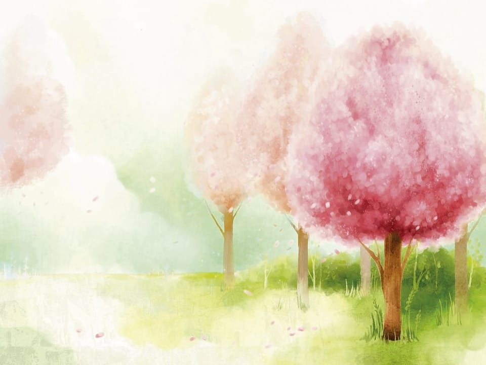 Fototapeta Różowe drzewa i zielona trawa