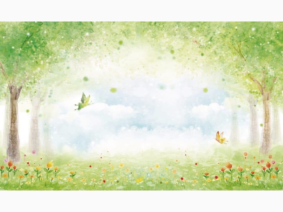 Fototapeta Zielony las z kwiatami i niebem