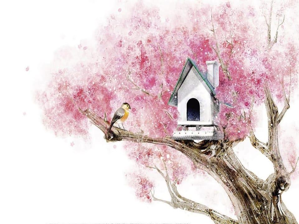 Fototapeta Domek dla ptaków na gałęzi