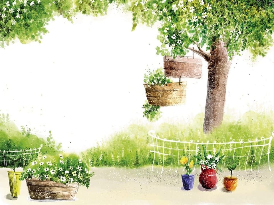 Fototapeta Drzewo z Wiszącymi Doniczkami