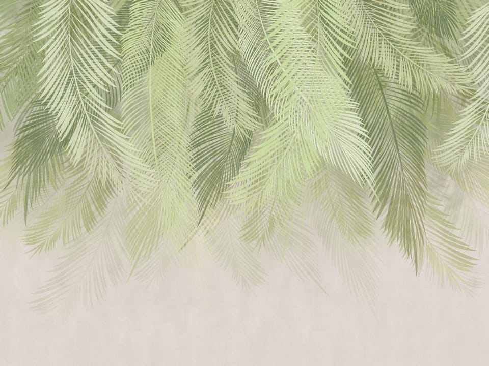 Fototapeta Zielone liście palmowe na jasnym tle na wymiar