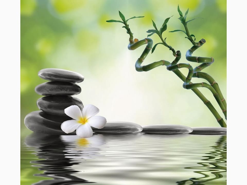 Fototapeta Kamienie i kwiat z bambusem