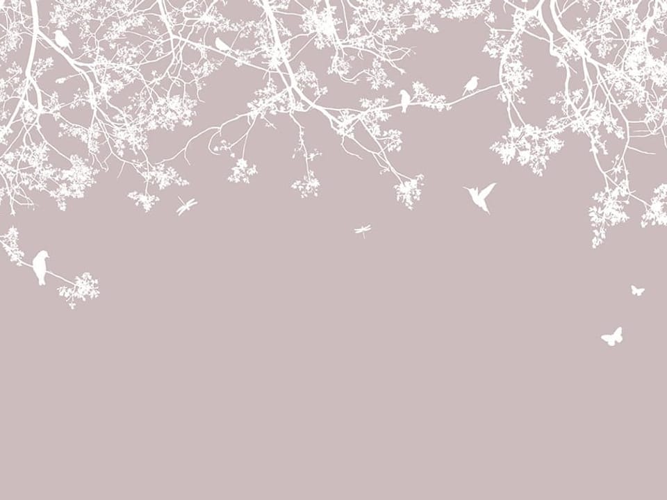 Fototapeta Sakura i Gałęzie Drzewa na wymiar