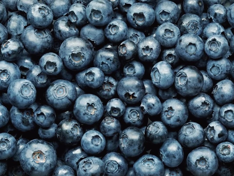 Fototapeta Zbliżenie na świeże jagody