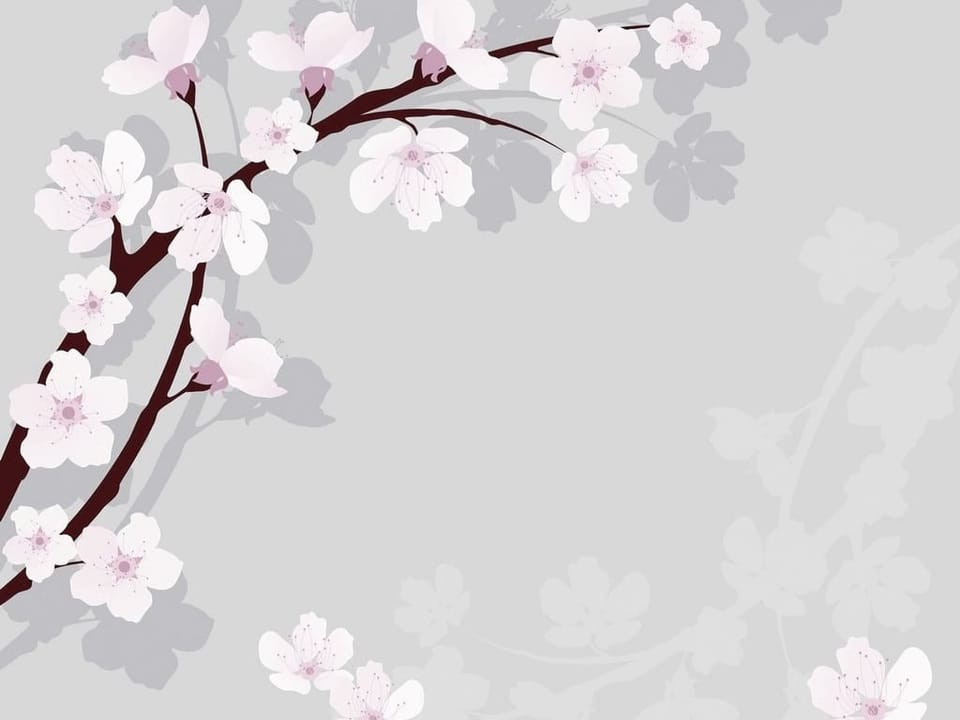 Fototapeta Sakura na szarym tle