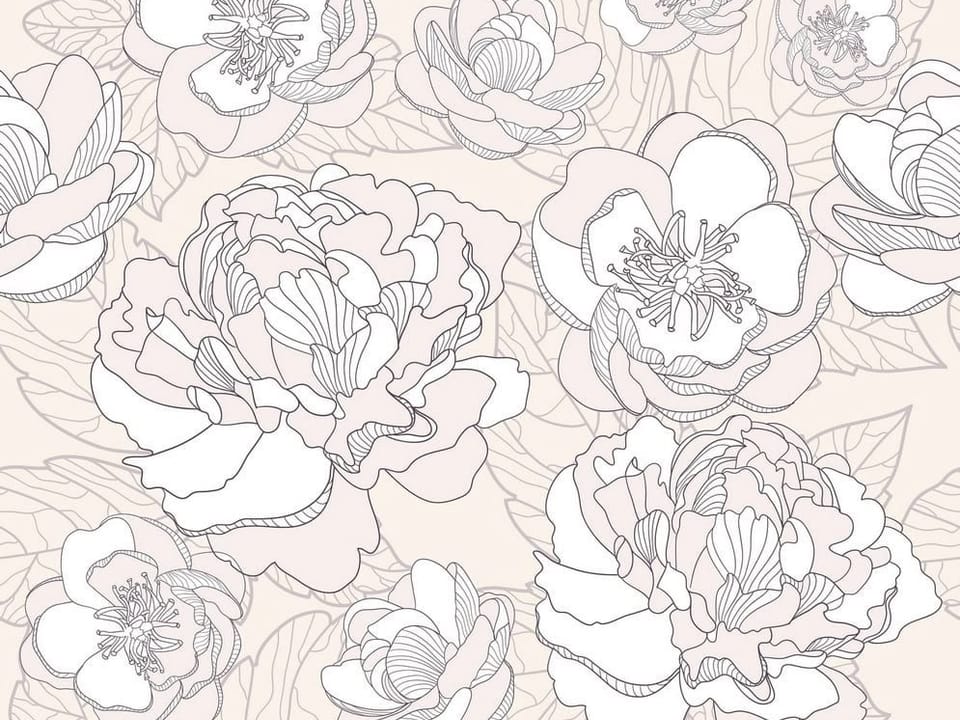 Fototapeta Kwiaty piwonii na jasnym tle