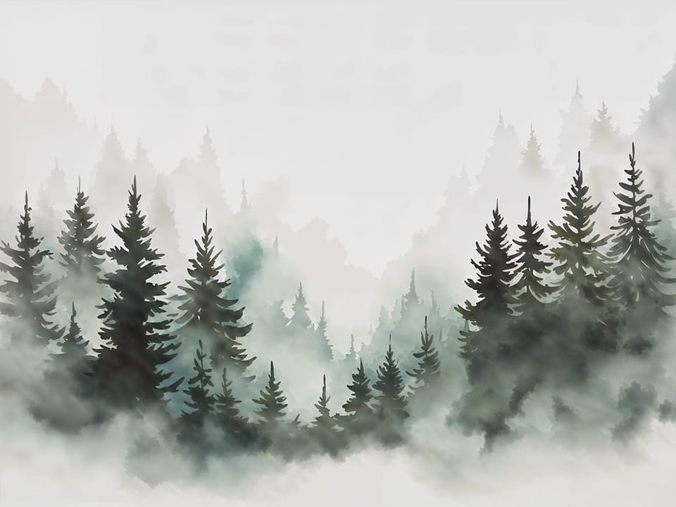 Fototapeta Mglisty las iglasty na wymiar