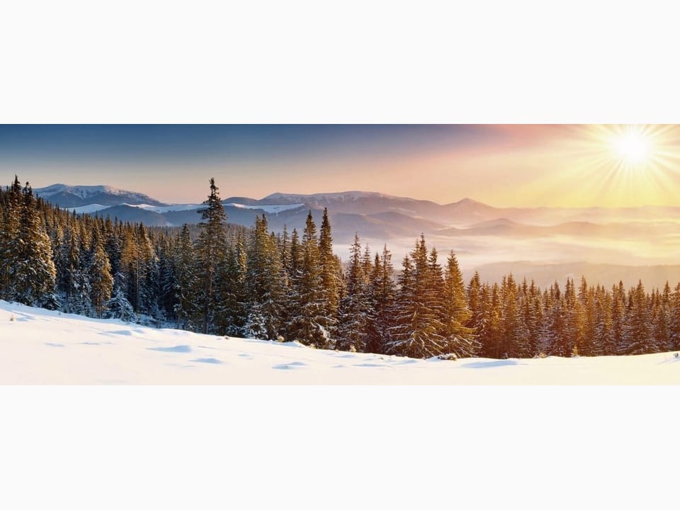 Fototapeta Śnieżny las z górami w tle na wymiar