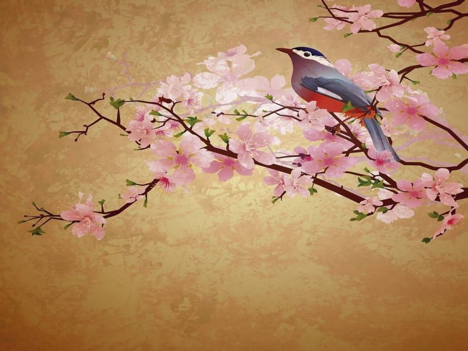 Fototapeta Sakura z ptakiem na gałęzi