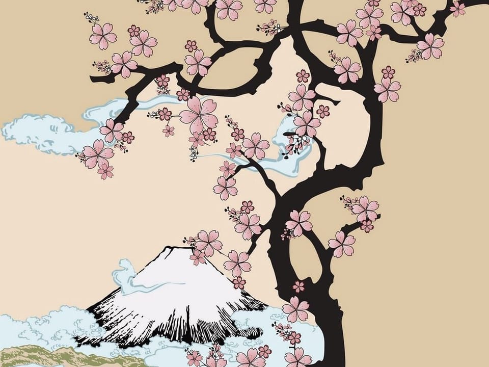 Fototapeta Sakura i góra w chmurach