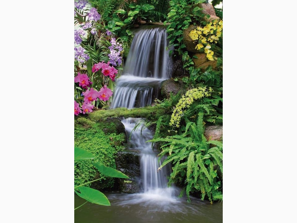 Fototapeta Tropikalny Ogród z Wodospadem