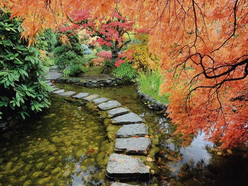 Fototapeta Kamienna Ścieżka Przez Staw