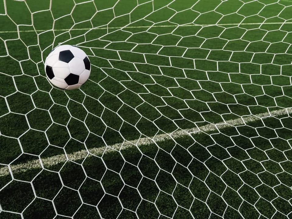 Fototapeta Piłka w siatce na murawie