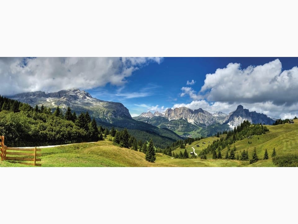 Fototapeta Górski krajobraz z lasem i łąką