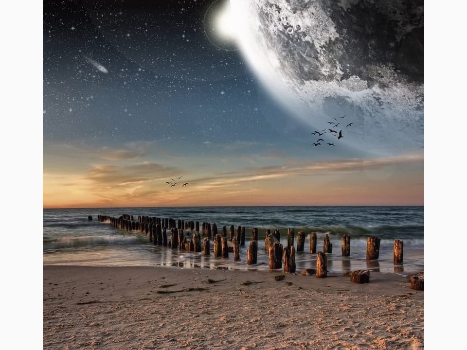 Fototapeta Drewniane Pale i Księżyc na Plaży na wymiar