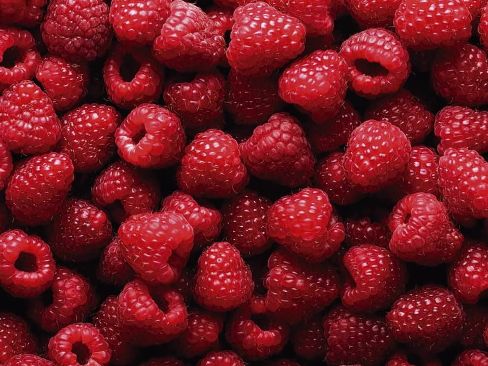 Fototapeta Stos świeżych malin w czerwieni