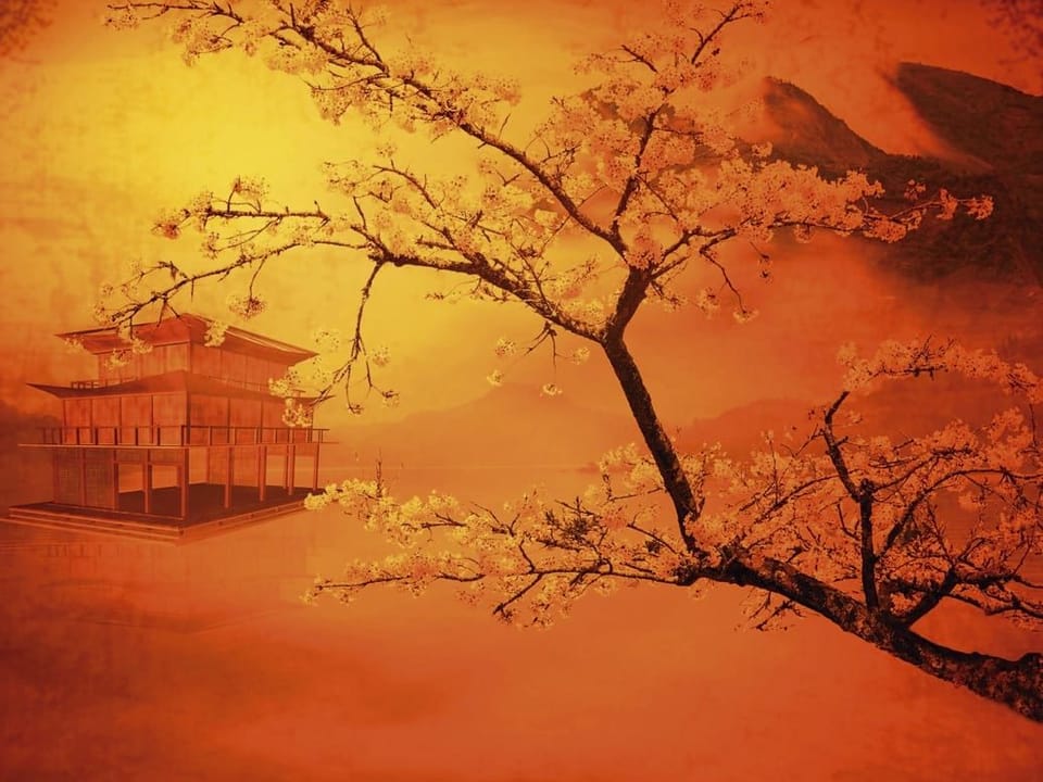 Fototapeta Sakura nad wodą o świcie