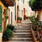 Miniatura fototapety Kamienne schody z roślinami