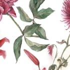 Miniatura fototapety Kwiaty i kolibry na białym tle fragment #1