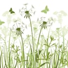 Miniatura fototapety Dmuchawce na łące