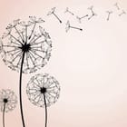 Miniatura fototapety Dmuchawce na wietrze