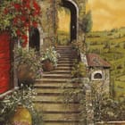 Miniatura fototapety Kamienne schody z roślinnością