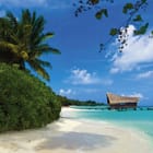 Miniatura fototapety Plaża z palmami i domkiem