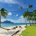 Miniatura fototapety Plaża z palmami i oceanem