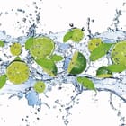 Miniatura fototapety Latające Limonki i Liście