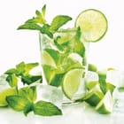 Miniatura fototapety Orzeźwiający napój z limonką